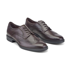 Men Rockport Keegan Dress Wing Tip Lace-up Oxfords Dark Brown Leather